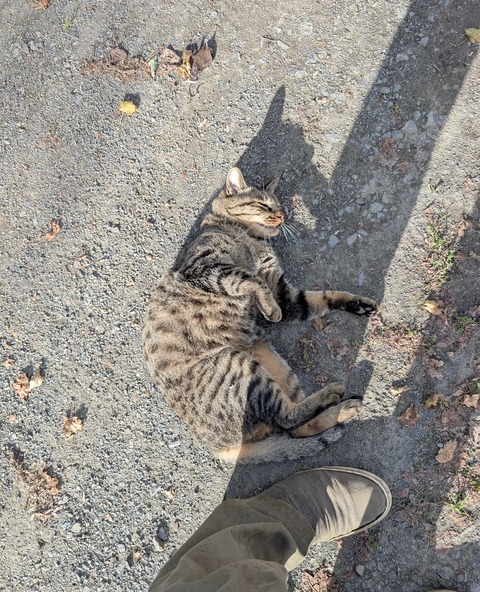 PXL_20250928_054009023