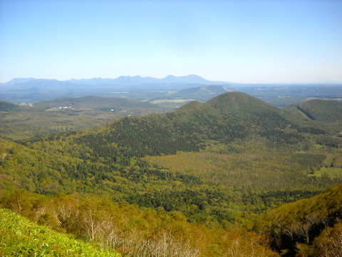 DSCN6880