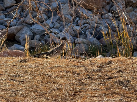 20260125_163729849_iOS