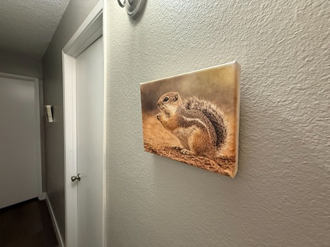 20260323_023507416_iOS