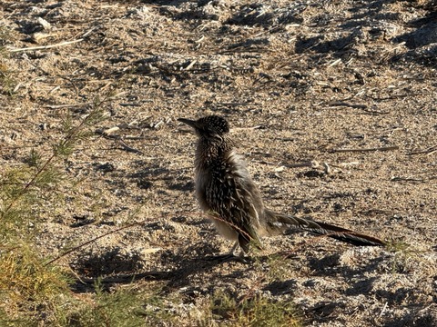 20260125_163953455_iOS