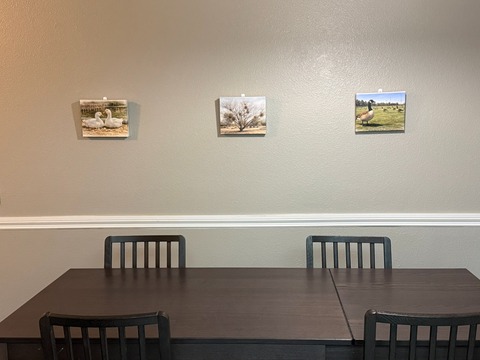 20260323_022935490_iOS