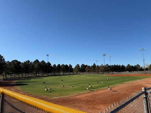 20260207_171219926_iOS