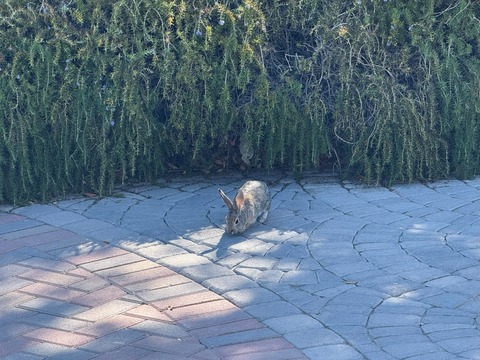 20251025_180039249_iOS