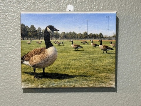 20260323_024758918_iOS