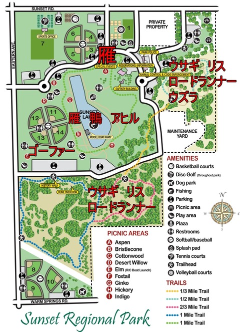 sunset-park-map