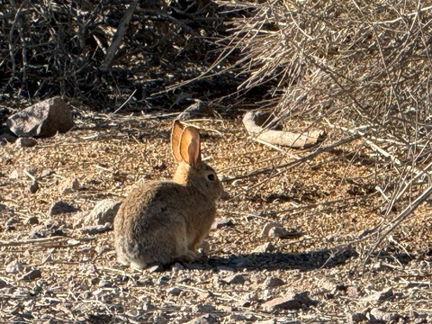 20260125_165511313_iOS