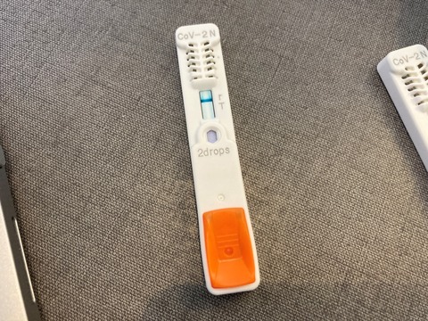 n2