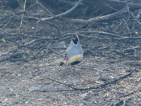 20260102_171522597_iOS