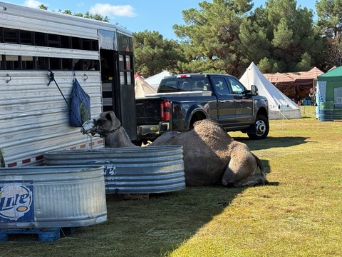 20251011_180109931_iOS