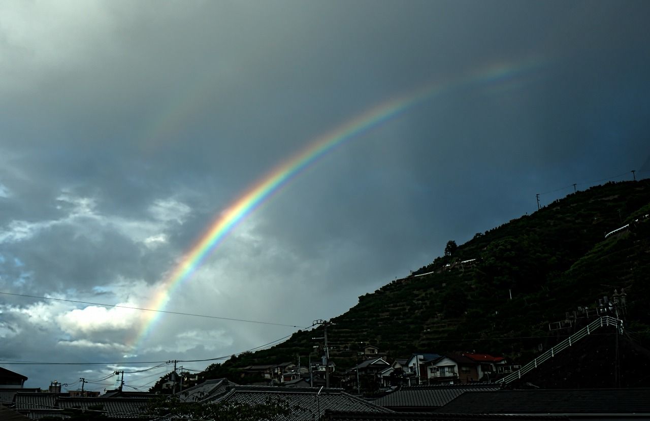 9 08 今日は一日俄雨 セレナと旅写真