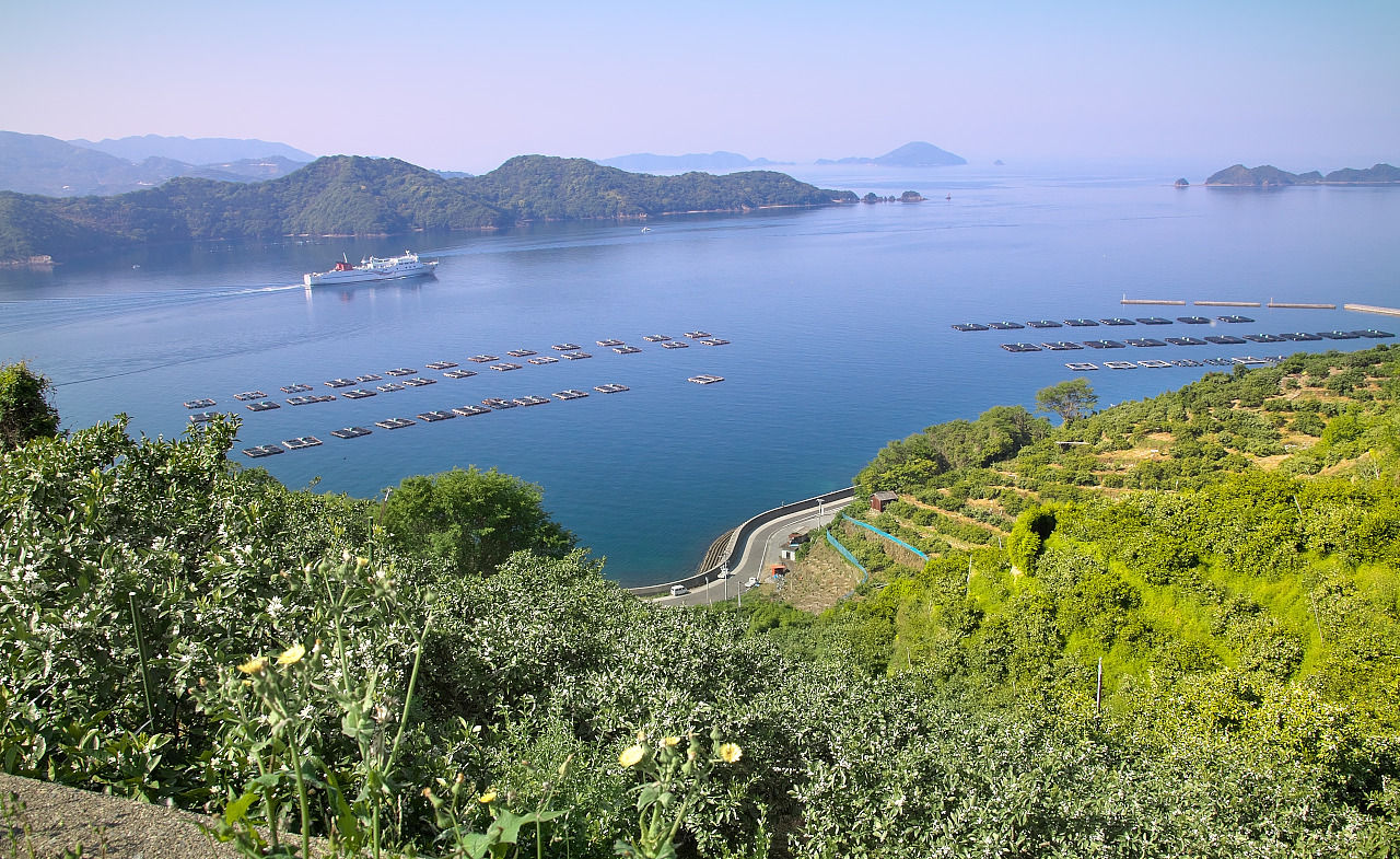 5 01 みかんの花咲く丘 セレナと旅写真 5 01 みかんの花咲く丘 セレナと旅写真
