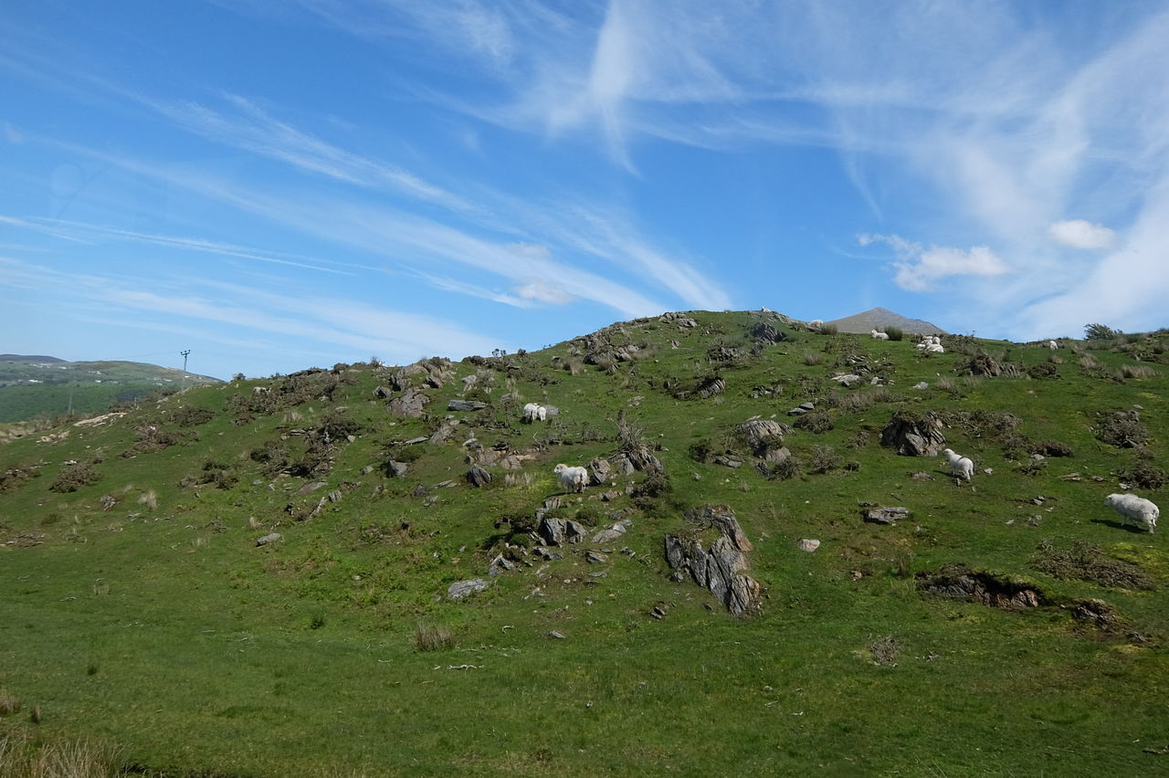 ウェールズ旅行１０ スノードン登山鉄道で楽ちん山登り ドメ子のイギリス生活 のち ドイツ生活