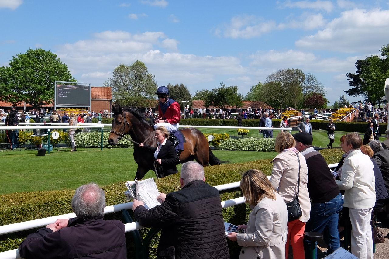 ニューマーケット競馬場で競馬デビュー ドメ子のイギリス生活 のち ドイツ生活
