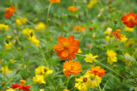 IMGP0569