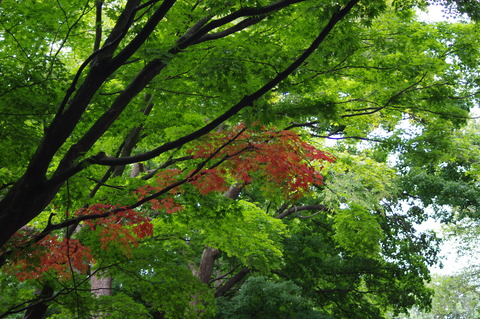 IMGP0303
