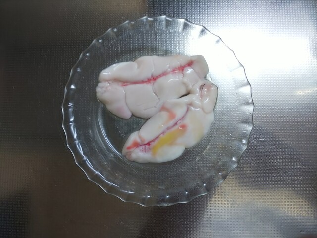 メジナの白子ポン酢にチャレンジしてみた ウキフカセ100