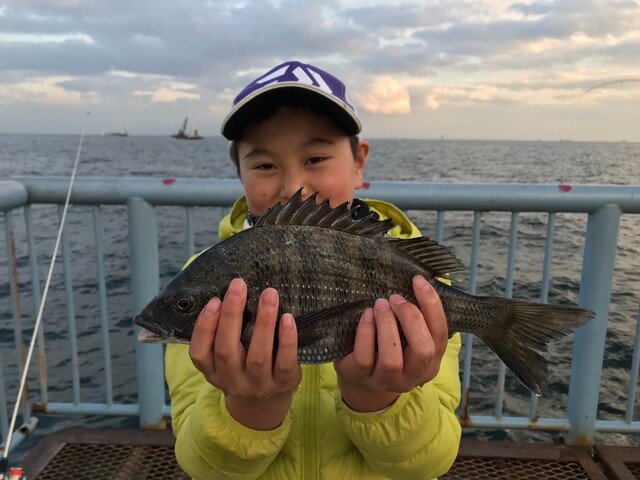 私の推し By タッキー 横浜 大黒海釣り施設 ウキフカセ100