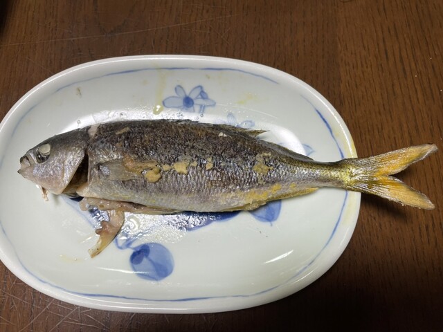 タカベの塩焼きの食べ比べ ウキフカセ100