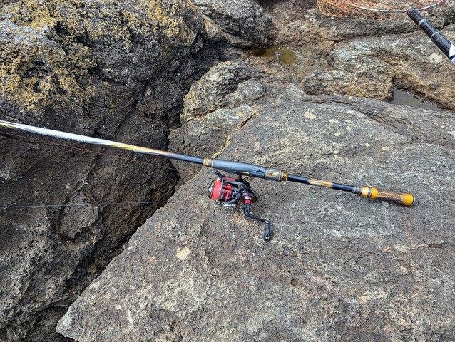 24 TOURNAMENT ISO AGSのインプレッション～持ち重りしない竿