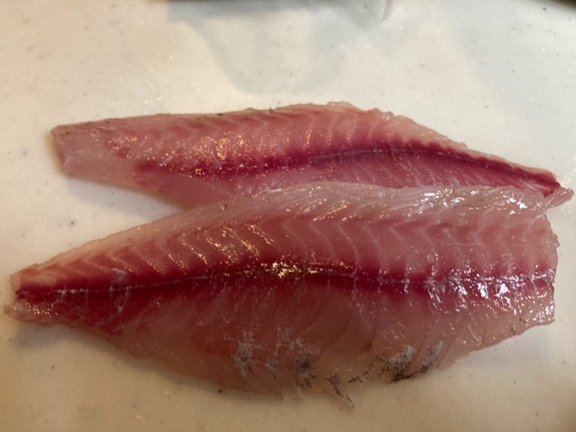 イサキのなめろう ウキフカセ100