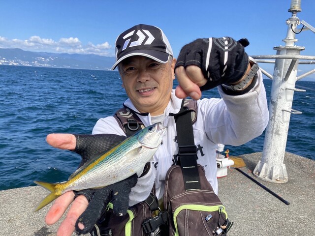 タカベの塩焼きの食べ比べ ウキフカセ100 タカベの塩焼きの食べ比べ ウキフカセ100