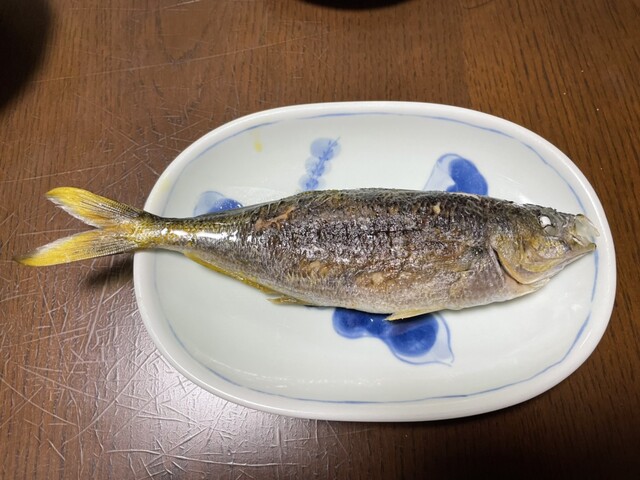 タカベの塩焼きの食べ比べ ウキフカセ100 タカベの塩焼きの食べ比べ ウキフカセ100