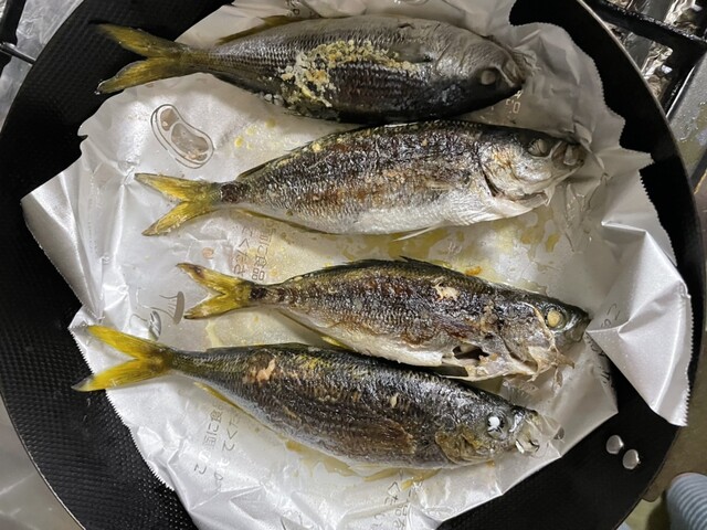 タカベの塩焼きの食べ比べ ウキフカセ100 タカベの塩焼きの食べ比べ ウキフカセ100