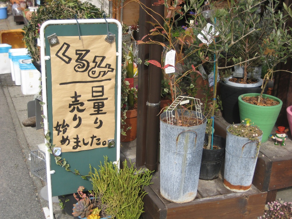 おしゃれ花屋さん Big Door 宇城市松橋町 宇城blog