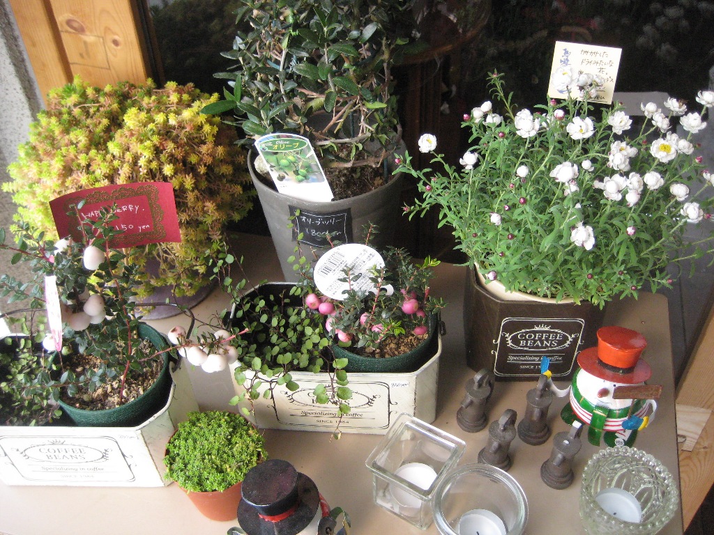 おしゃれ花屋さん Big Door 宇城市松橋町 宇城blog