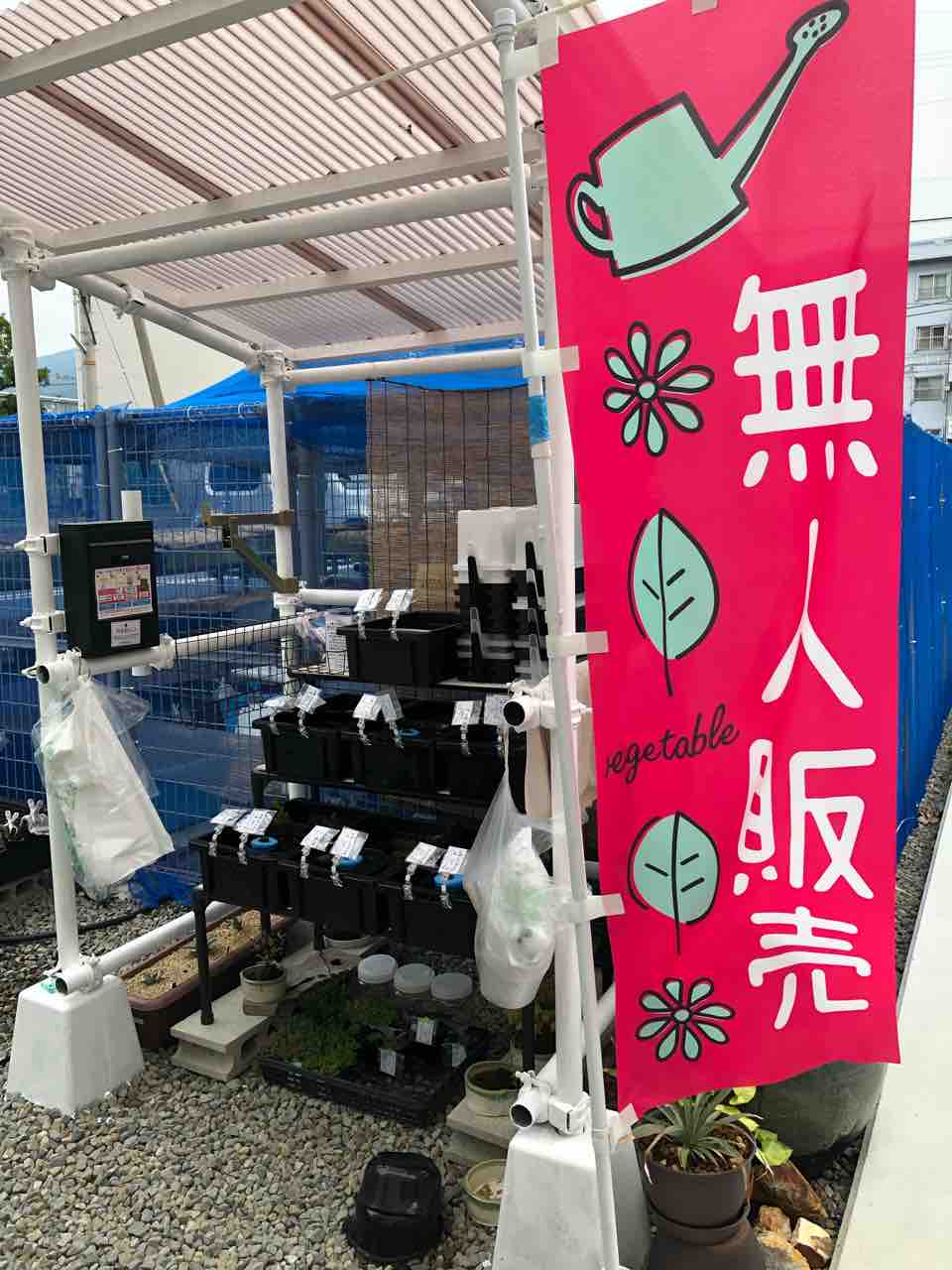 めだかライフ 無人販売所 ビオトープなどに最適 水草各種置きました めだかライフ