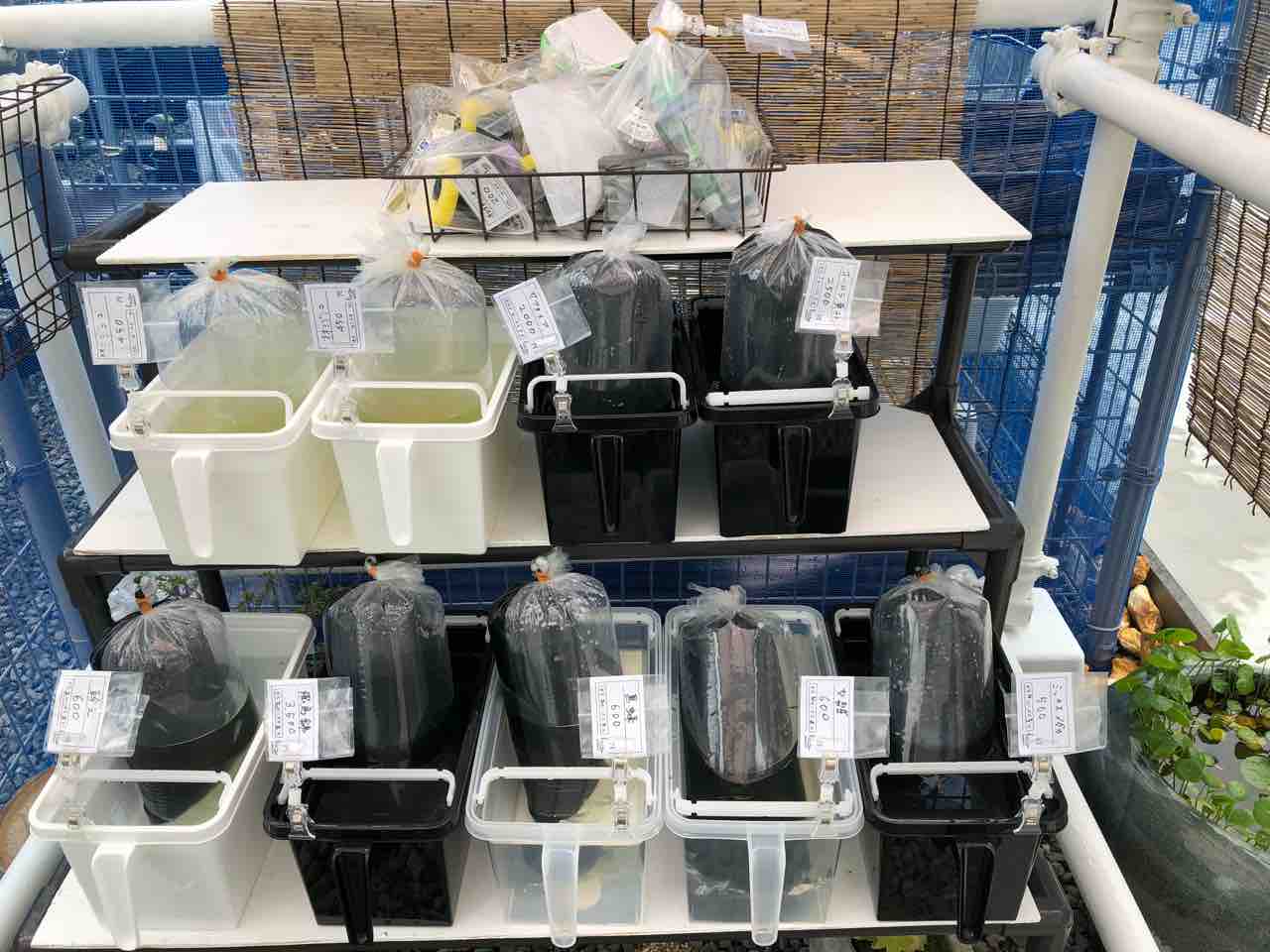 めだかライフ 24時間営業 無人販売所のご案内 めだかライフ