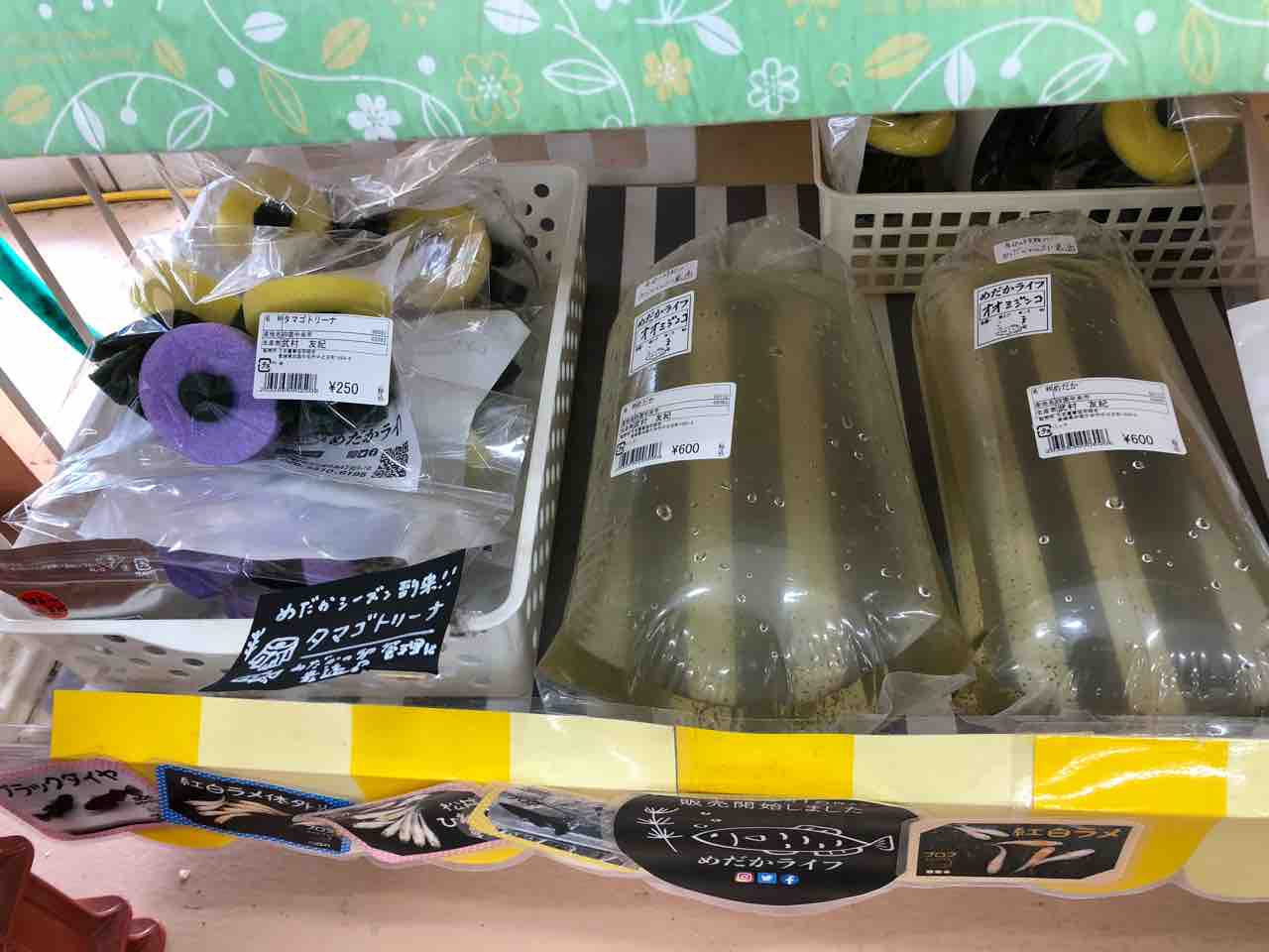 めだかライフ Jaじゃじゃうま市にてオオミジンコ出品して来ました めだかライフ
