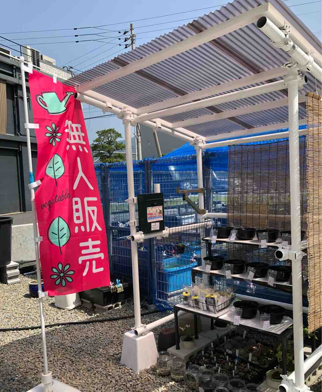 めだかライフ Jaじゃじゃうま市にてオオミジンコ出品して来ました めだかライフ