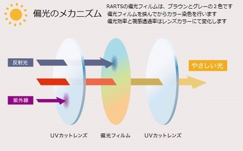 偏光レンズメカニズム