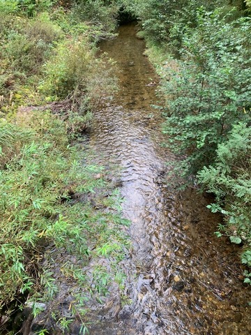 レンズ無しの川