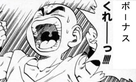 ボーナス2