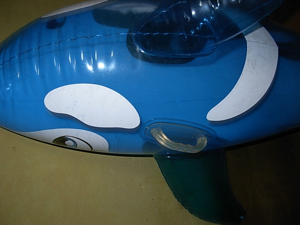 浮き輪オナニー 