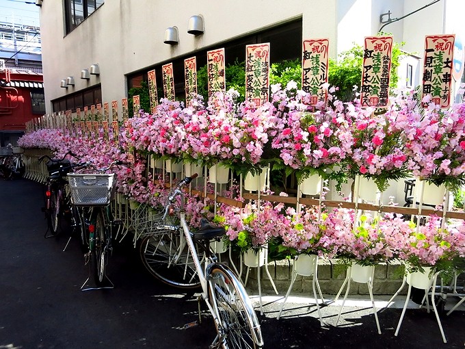 浅草 自転車 安い