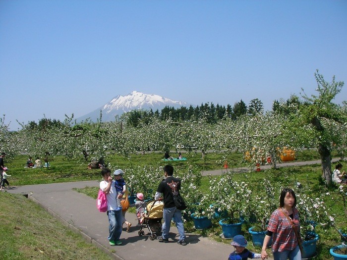 弘前りんご花まつり 空白つれづれ草