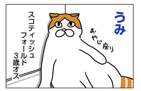猫1_1_02