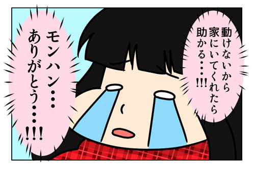 夫とモンハンに感謝した_04