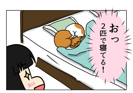 猫日記_1_01