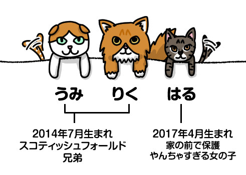 自己紹介_猫