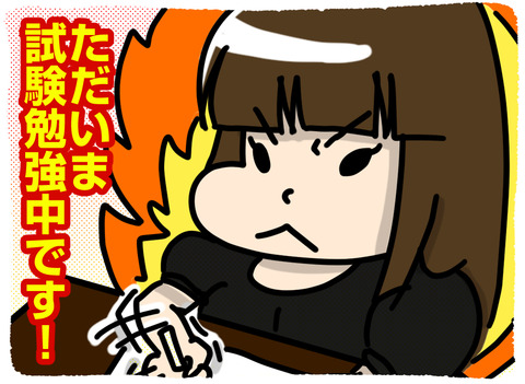ただいま試験勉強中