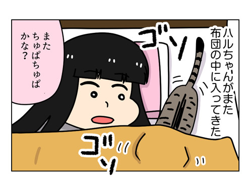 小悪魔猫ハル_1_01