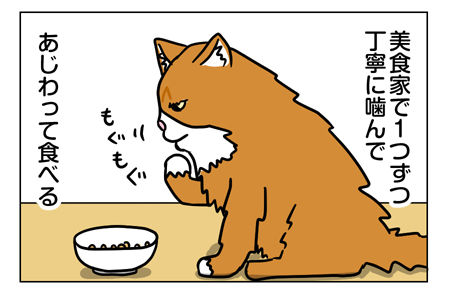 猫1_2_02