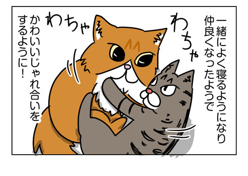 2018年わが家で買って良かったモノ第1位はこの猫用品2_04
