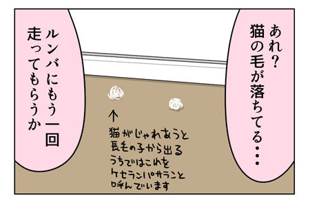 ルンバ_1_02
