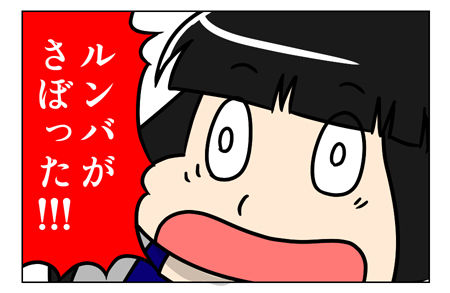 ルンバ_2_03